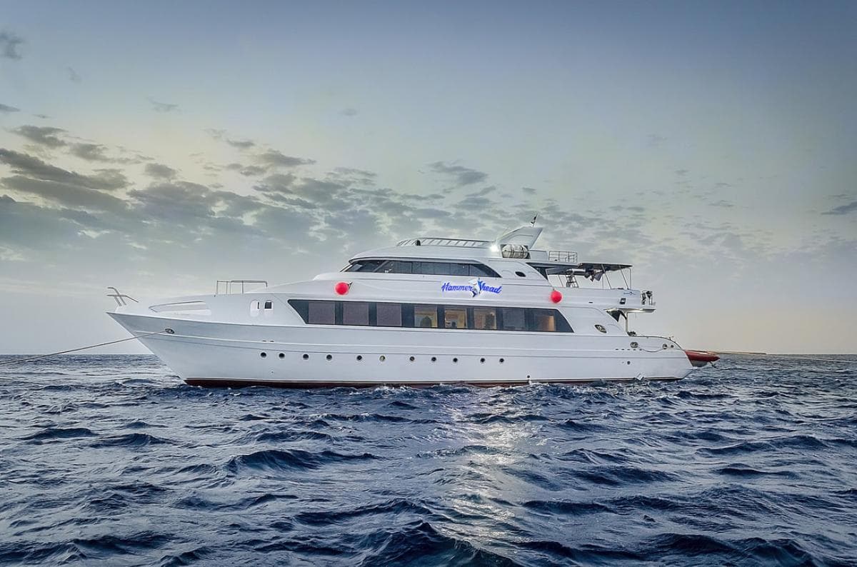 Hammerhead I Exterior