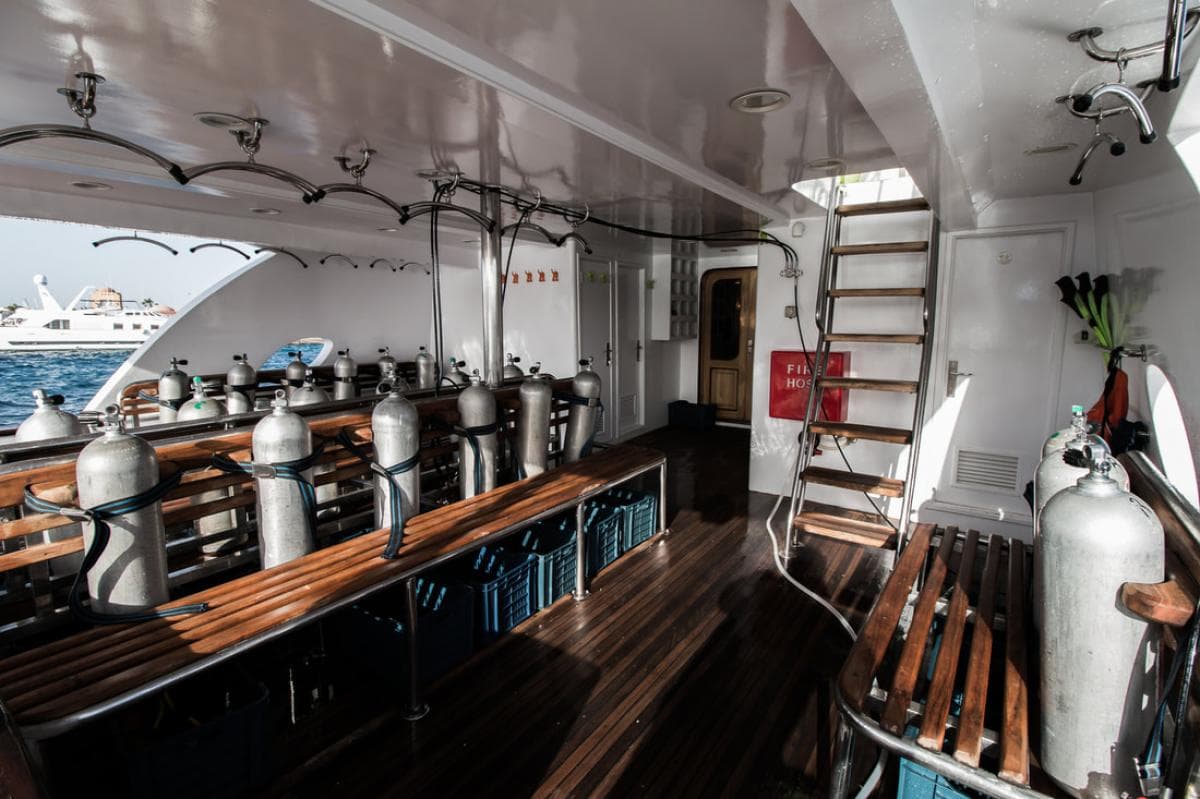 Hammerhead I Ocean View