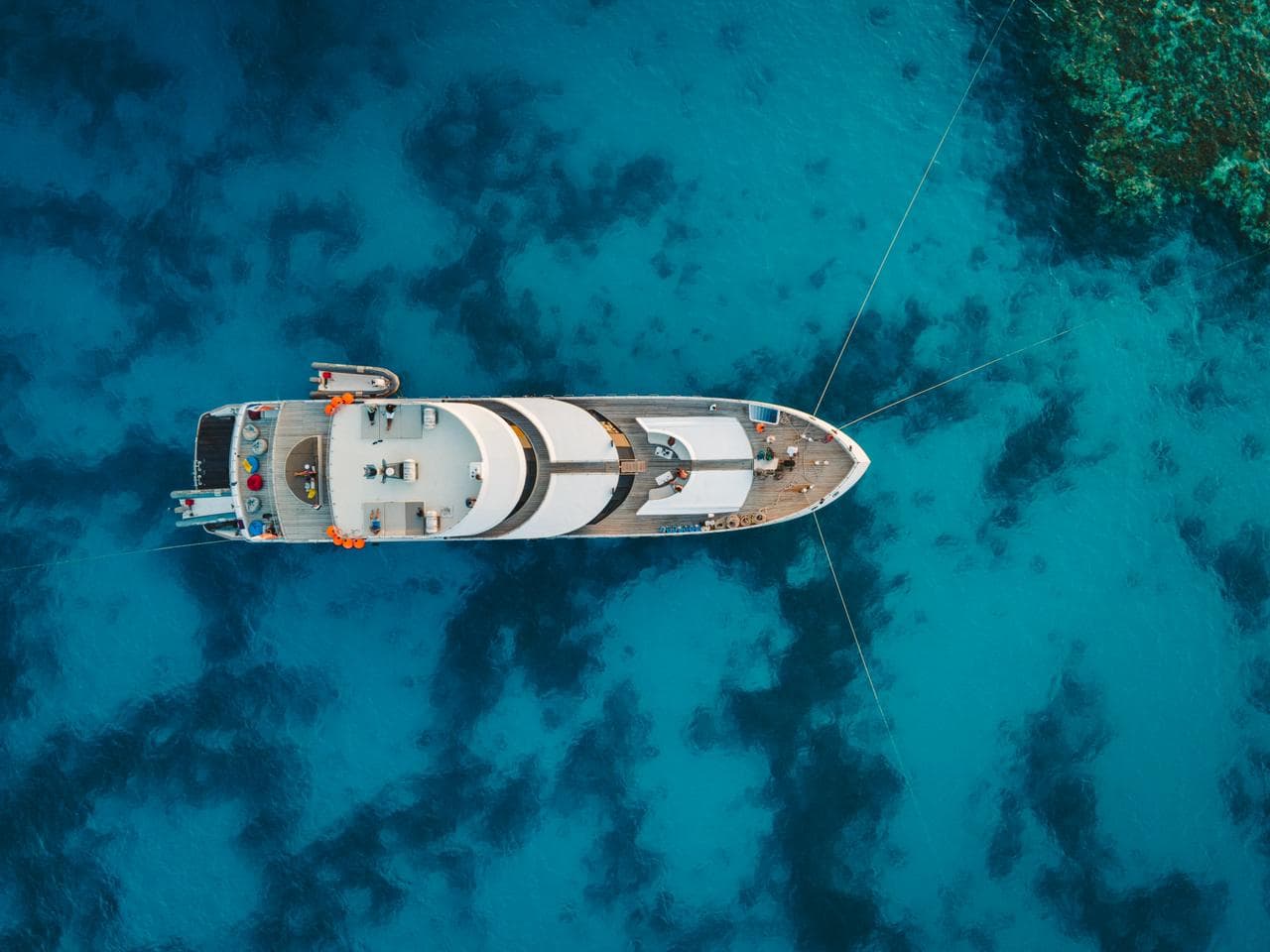 Hammerhead II Group Photo